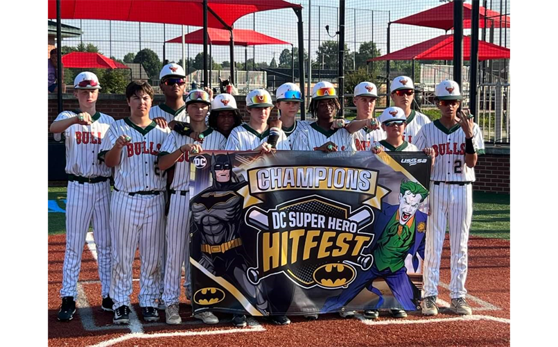 DC Super Hero Hitfest Champion 